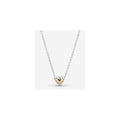 Collar Corazón plata y Plateado