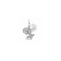 Charm Dije Dinosaurio "You Are My Roar" Friend