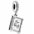 Charm "Our Family" Libro Plateado