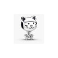 Charm Dije Gato con Lazo