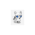 Charm Zorro Aventurero con Ojos Azules