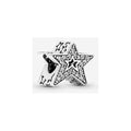 Charm Doble Estrella Brillante