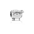 Charm Avión Plata