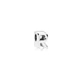 Charm Letra R Plata