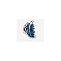 Charm Pluma Azul Radiante