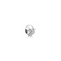 Charm Escarabajo Brillante Plata Esterlina