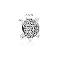 Charm Tortuga Brillante