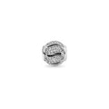 Charm "Ondas Brillantes" Plata y Circonitas