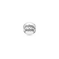 Charm de Acuario con Cristales