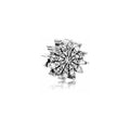 Charm Copo de Nieve Brillante