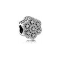 Charm Flor Brillante