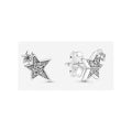 Aretes de Estrellas Brillantes