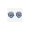 Aretes de Flor de Pensamiento Azul con Circonitas