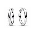 Aros Plateados Elegantes