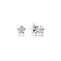 Aretes de Estrella Brillante en Plata