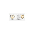 Aretes Corazón plata y Plateado