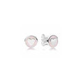 Aretes Corazón Rosa con Plata Esterlina