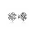 Aretes Copos de Nieve Brillantes