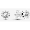 Aretes Brillantes de Estrella